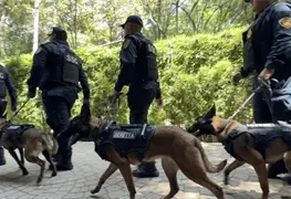 Unidad Canina de la PBI incorpora perros especializados en detecci&oacute;n de explosivos