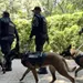 Unidad Canina de la PBI incorpora perros especializados en detecci&oacute;n de explosivos