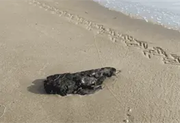 Derrame de hidrocarburo en Tabasco alcanza playa Miramar