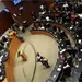Aprobado en el Senado el Plan B impulsado por Claudia Sheinbaum