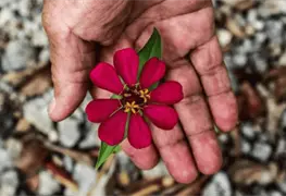 Reflejos: la resistencia cultural maya que recorre Europa