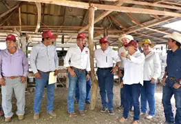 Gobernador de Tabasco revoluciona el campo con Sembrando Vida y Cr&eacute;dito Ganadero