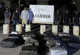 Semar asegura 650 kg de coca&iacute;na en Michoac&aacute;n
