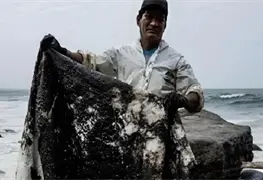 Pescadores de Tabasco y Veracruz recibir&aacute;n apoyo de 15 mil pesos por derrame