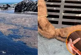 Redes de cabello para contener derrame en Golfo de M&eacute;xico