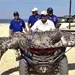Captura de cocodrilos en Tuxtepec