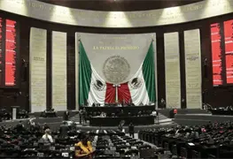 Aprobado el Plan B en la C&aacute;mara de Diputados