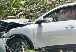 Disminuyen accidentes viales con fallecidos