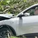 Disminuyen accidentes viales con fallecidos