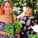 Gobernador de Territorio impulsa florecimiento en Comalcalco