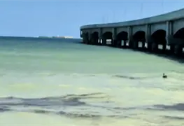 Fuga de hidrocarburo en costas de Yucat&aacute;n