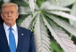 Estados Unidos suaviza restricciones a la mariguana medicinal