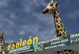 Cierre indefinido del Parque Zool&oacute;gico de Le&oacute;n por exigencias ambientales