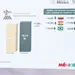 Claudia Sheinbaum niega mala percepci&oacute;n de turismo en M&eacute;xico 2026