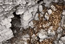 Nueva zona arqueol&oacute;gica maya bajo investigaci&oacute;n