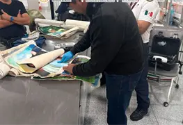 Autoridades decomisan lienzos con sustancia il&iacute;cita en AICM