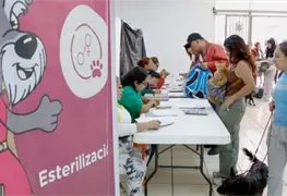 Nezahualc&oacute;yotl lucha contra sobrepoblaci&oacute;n de perros callejeros