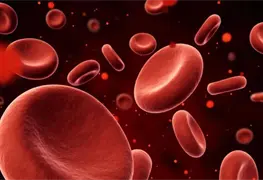 Tecnolog&iacute;a M&eacute;dica para Detener Hemorragias en Accidentes