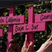 22 madres buscadoras asesinadas en M&eacute;xico: la lucha contra la violencia