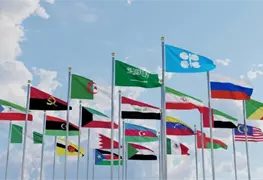 NUEVO ORDEN ENERG&Eacute;TICO GLOBAL (I)