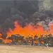 Marina incinera 12 toneladas de marihuana en Baja California