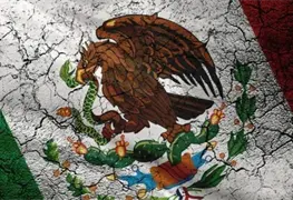 El Estado que se desdibuja