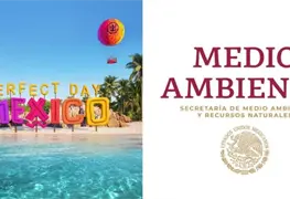 Semarnat rechaza megaproyecto de Royal Caribbean en Mahahual