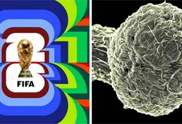 Medidas preventivas en M&eacute;xico para evitar &eacute;bola en Mundial 2026