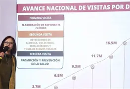 18 millones de visitas a adultos mayores por Programa Salud Casa por Casa