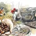 Cartas del Tr&oacute;pico