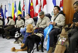 Perros entrenados llegan a M&eacute;xico para reforzar fronteras durante el Mundial