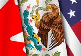 Propuestas de la planta industrial mexicana en revisi&oacute;n del T-MEC