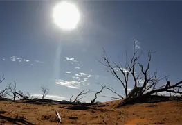 OMM lanza alerta por posible retorno del El Ni&ntilde;o en 2026
