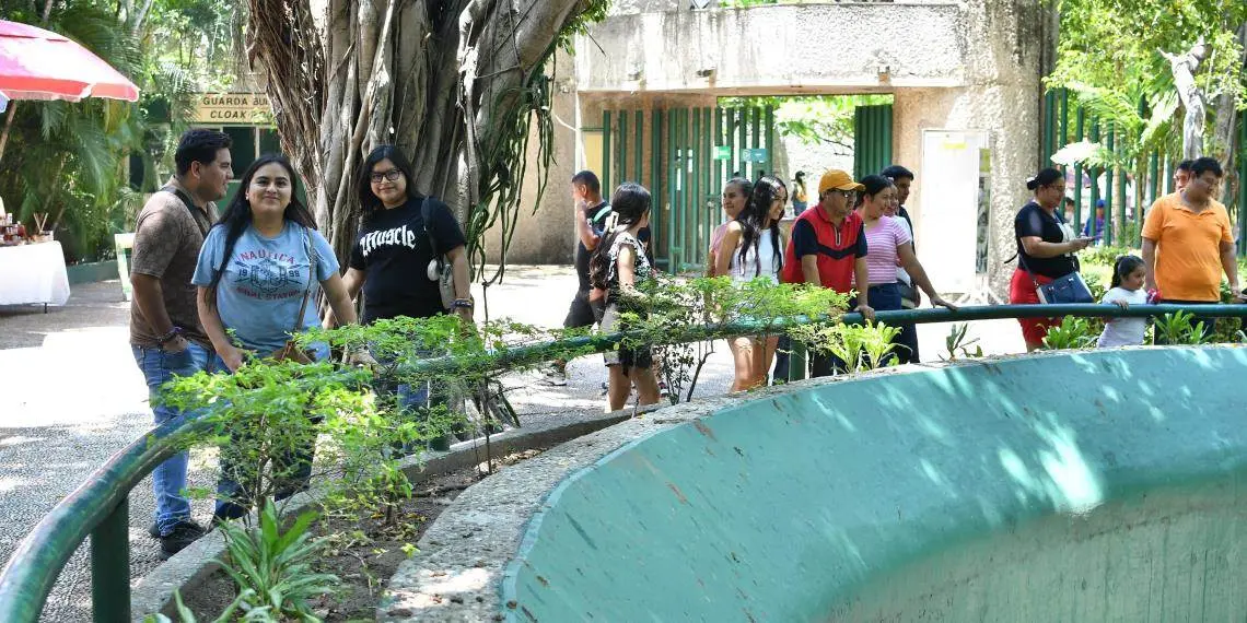 La Venta se transforma y suma respaldo cultural La Venta se transforma y suma respaldo cultural