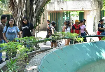 La Venta se transforma y suma respaldo cultural