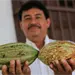 Revivir&aacute; el cacao en Tabasco