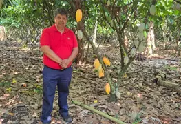 Rescatar al cacao desde la gen&eacute;tica