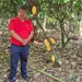 Rescatar al cacao desde la gen&eacute;tica