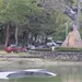 Buscan frenar agon&iacute;a de la Laguna de las Ilusiones