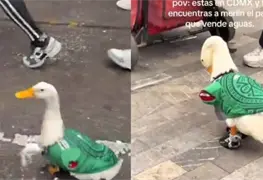 Pato mundialista se roba el show en festejos por victoria de M&eacute;xico en Mundial 2026