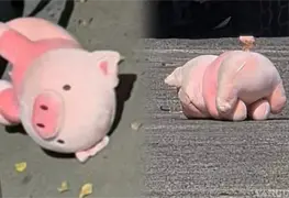Hallan cerdito rosa junto a hombre ejecutado en Culiac&aacute;n