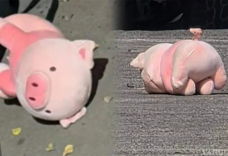 Hallan cerdito rosa junto a hombre ejecutado en Culiac&aacute;n