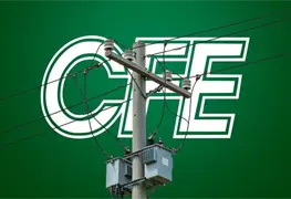 PROYECTOS NUEVOS DE CFE, L&Iacute;MITES REALES (I)