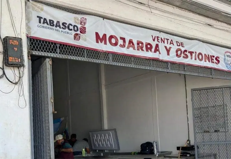 Pescando Vida proyecta vender 8 toneladas de tilapia al mes