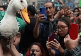 Pato Merl&iacute;n, la sensaci&oacute;n del Mundial 2026