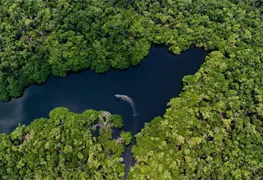 Inauguran la Fiesta de los Manglares y Humedales 2026 en la Reserva Ecol&oacute;gica Cinco Lagunas