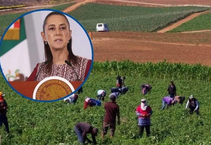 Ayuda de 40 mil pesos para familias jornaleras en San Quint&iacute;n