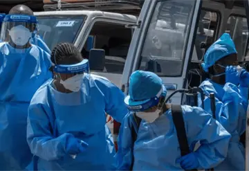 Francia confirma su primer caso de &eacute;bola en m&eacute;dico procedente de Congo