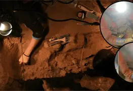 Descubren en Rusia diente de mamut en cueva Dreams