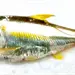 Contaminaci&oacute;n en Laguna Las Ilusiones: Efectos en ADN de Sardina Amarilla